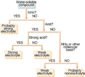 Employee Classification Options